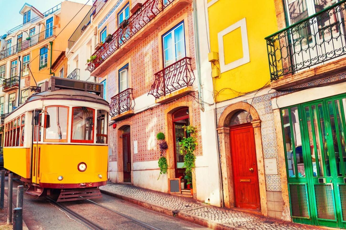 Serene 2-bedroom Flat With Garden View In Benfica
